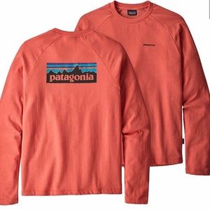 Patagonia Coral Raglan Sleeve Pullover Crewneck Sweatshirt